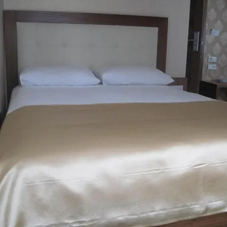 Hotel Savis *